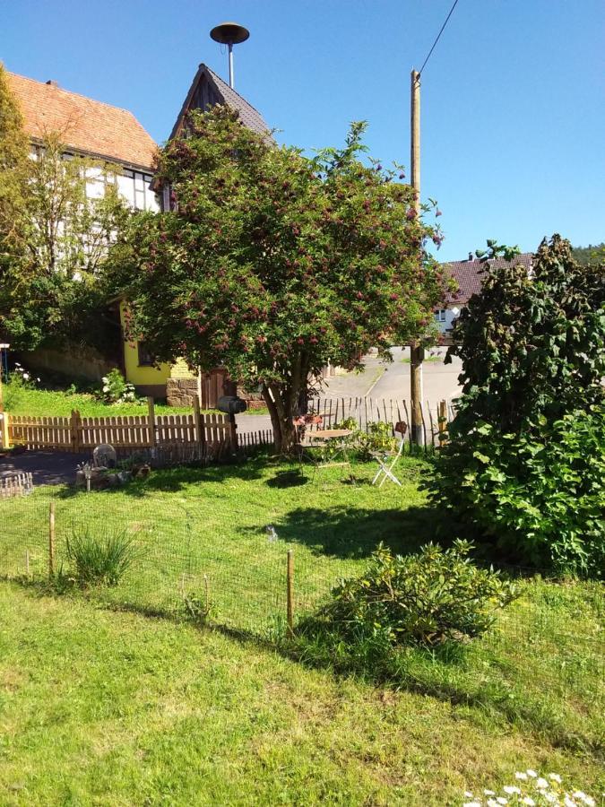 Appartement An Der Bicke Dehringhausen Экстерьер фото