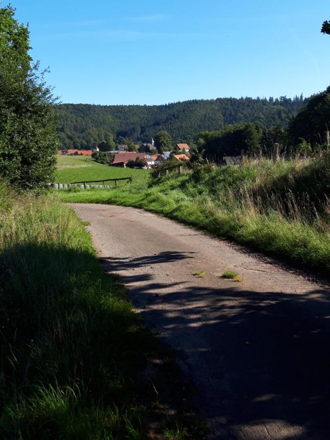 Appartement An Der Bicke Dehringhausen Экстерьер фото
